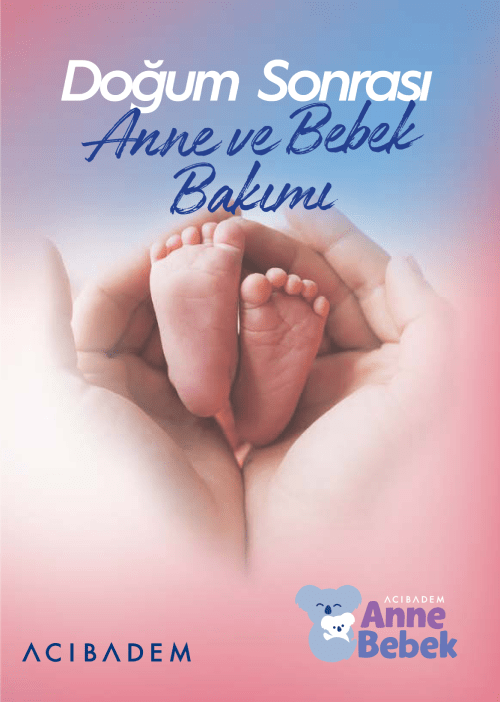 Doğum Sonrası Anne ve Bebek Bakımı